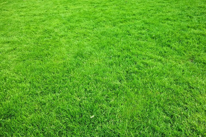 Does Your Lawn Need Aerating?