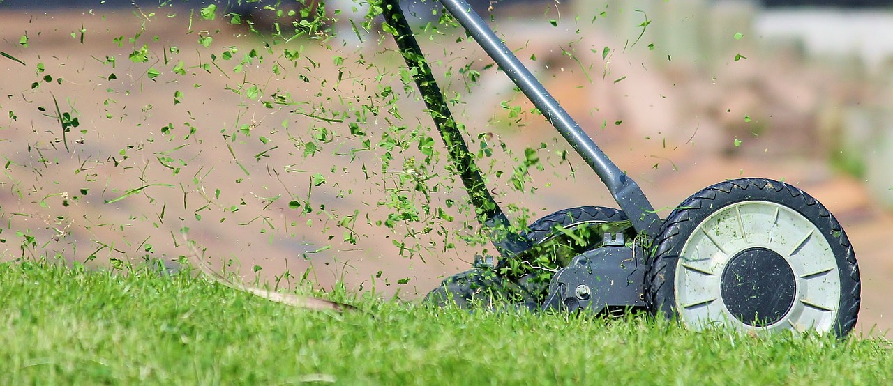 Quick Tips on How to Mow the Lawn Properly?